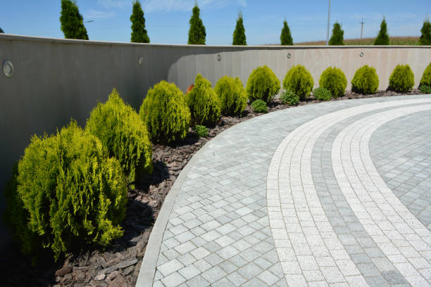 Reasons to Select Us for Your Driveway Paving Requirements in Brookside Village, TX